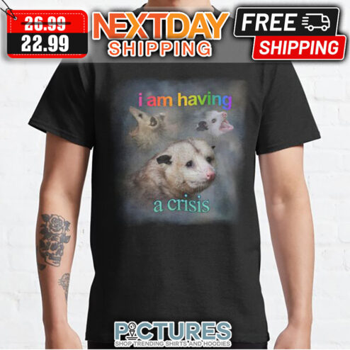 Opossum I Am Having A Crisis shirt