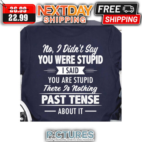 No I Didn't Say You Were Stupid I Said You Are stupid There Is Nothing Past Tense About It shirt