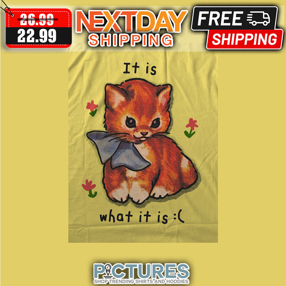 Kitten It Is What It Is shirt