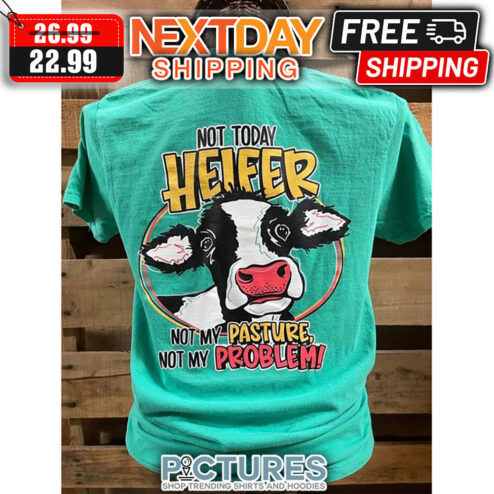 Not Today Heifer Not My Pasture Not My Problem shirt