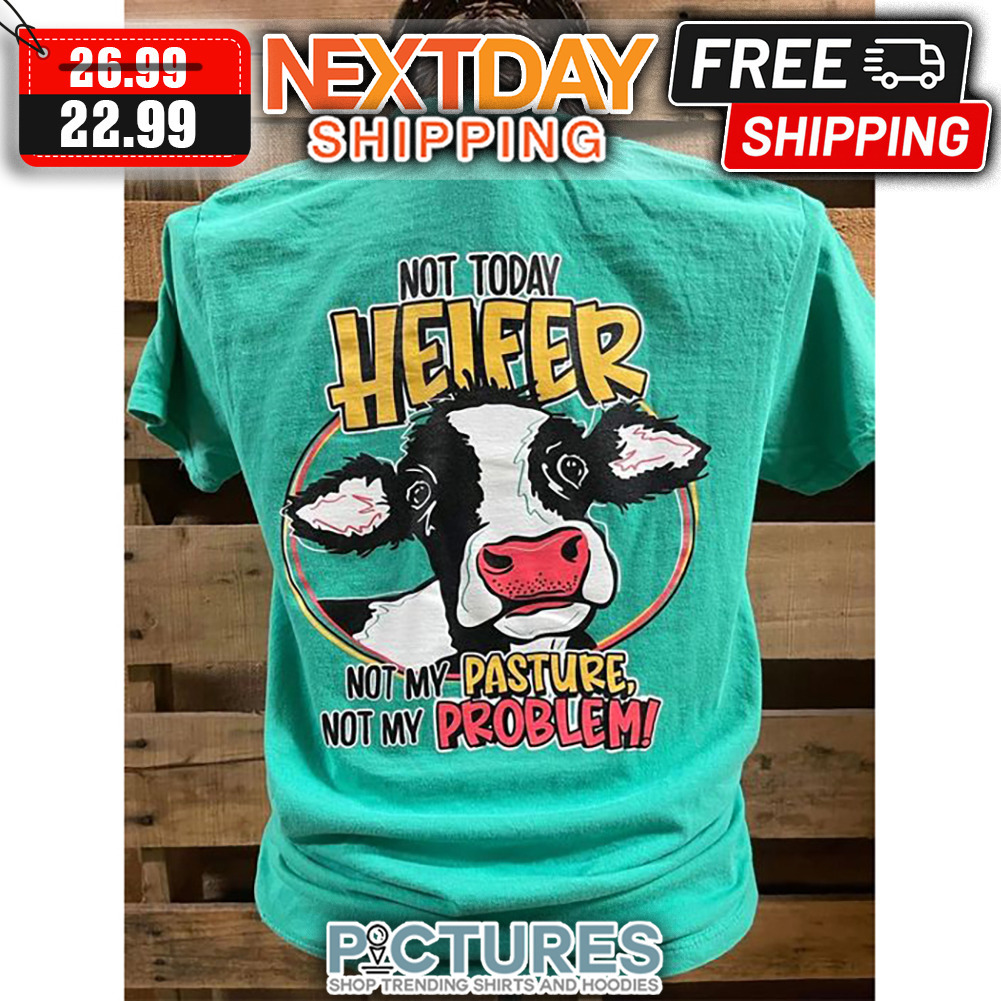 Not Today Heifer Not My Pasture Not My Problem shirt