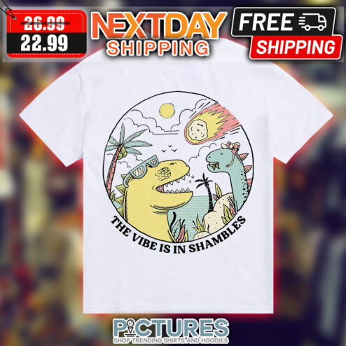 Dragon The Vibe Is In Shambles shirt