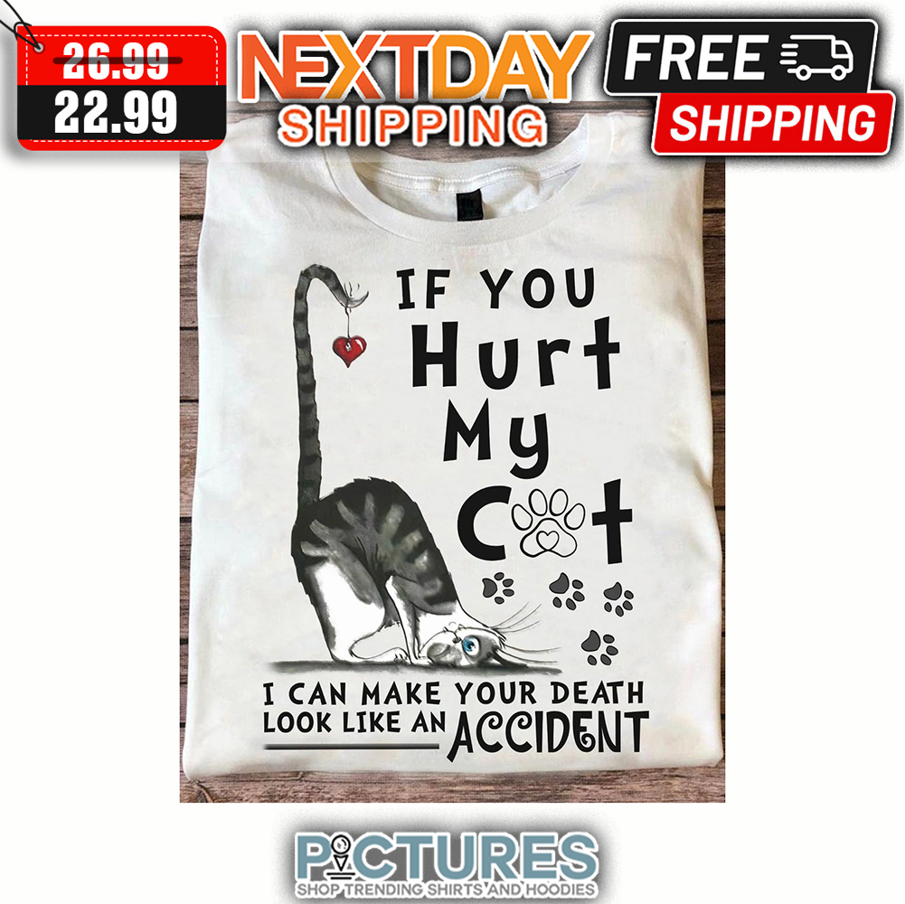 If You Hurt My Cat I Can make Your Death Look Like An Accident shirt