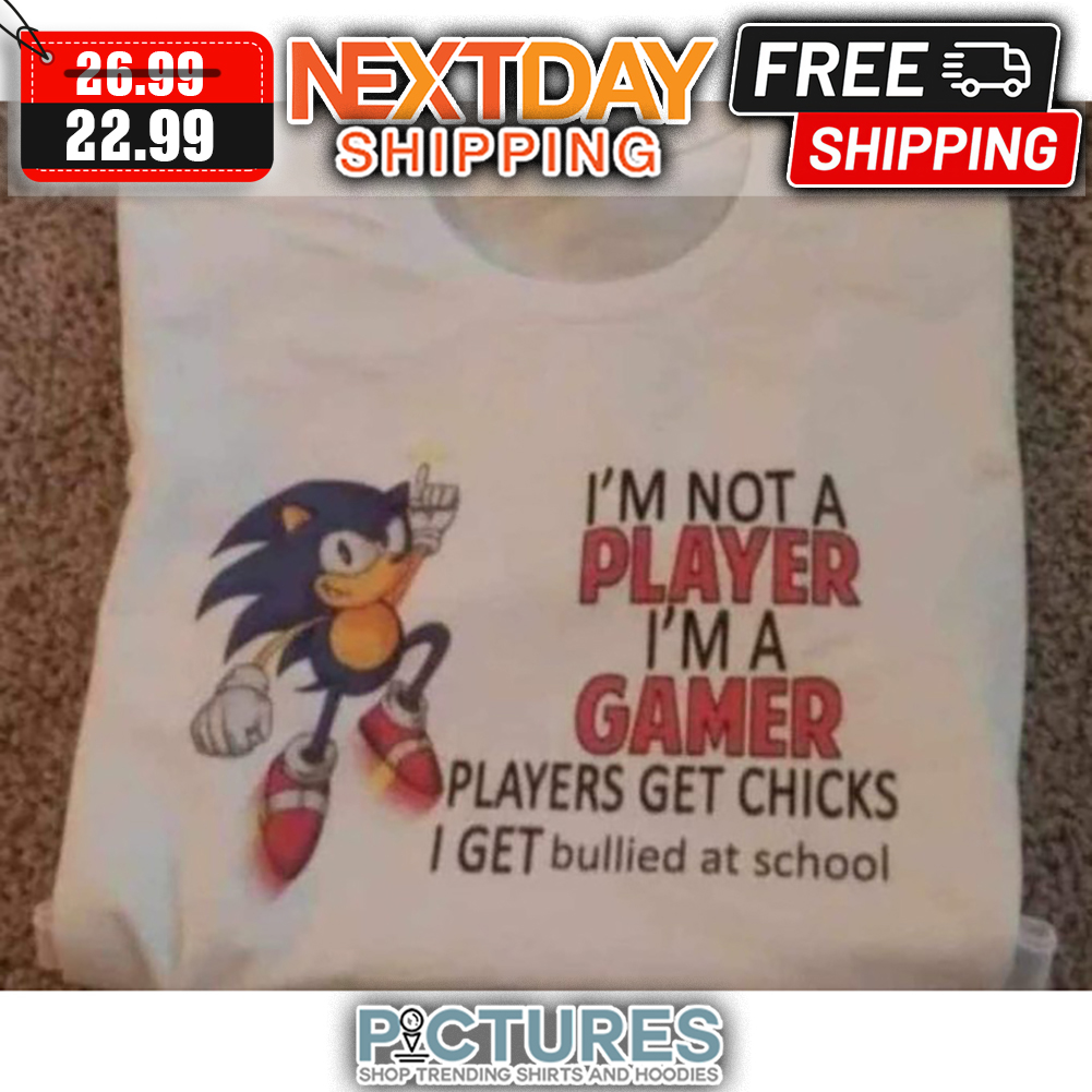 Sonic I'm Not A Player I'm A Gamer Players Get Chicks I Get Bullied At School shirt