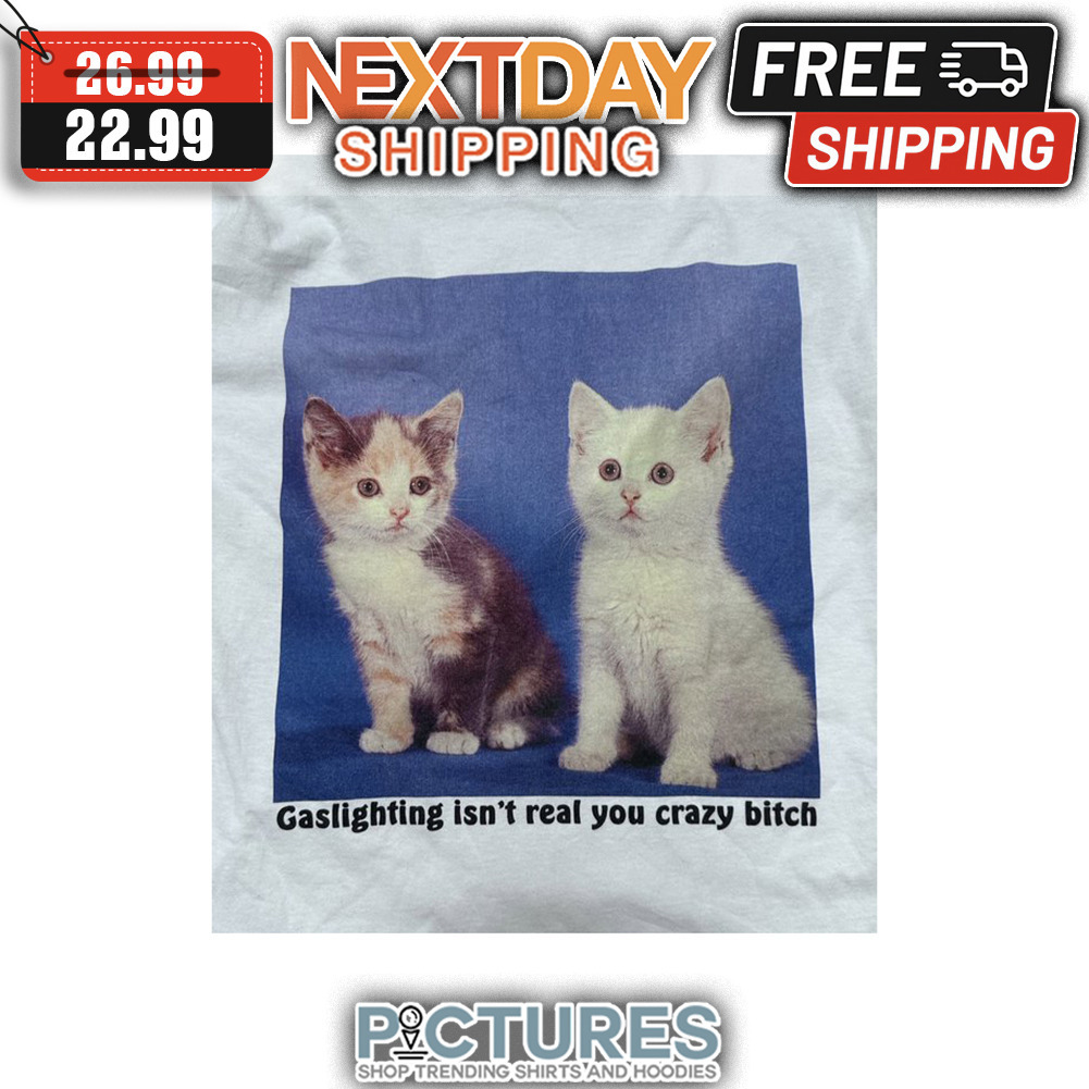 Cats Gaslighting Isn't Real You Crazy Bitch shirt