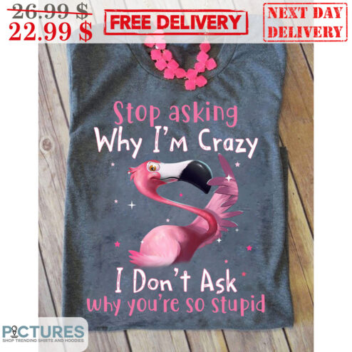 Pink Flamingo Stop Asking Why I'm Crazy I Don't Ask Why You're So Stupid Shirt