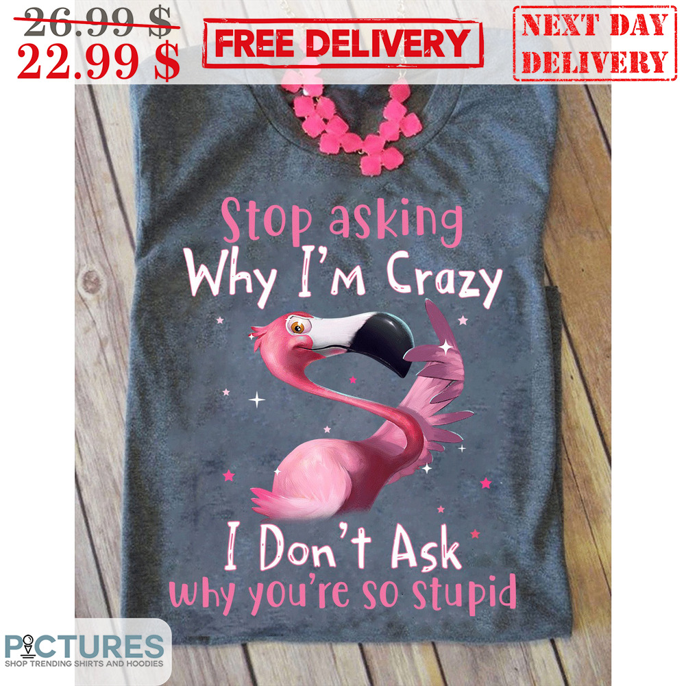 Pink Flamingo Stop Asking Why I'm Crazy I Don't Ask Why You're So Stupid Shirt