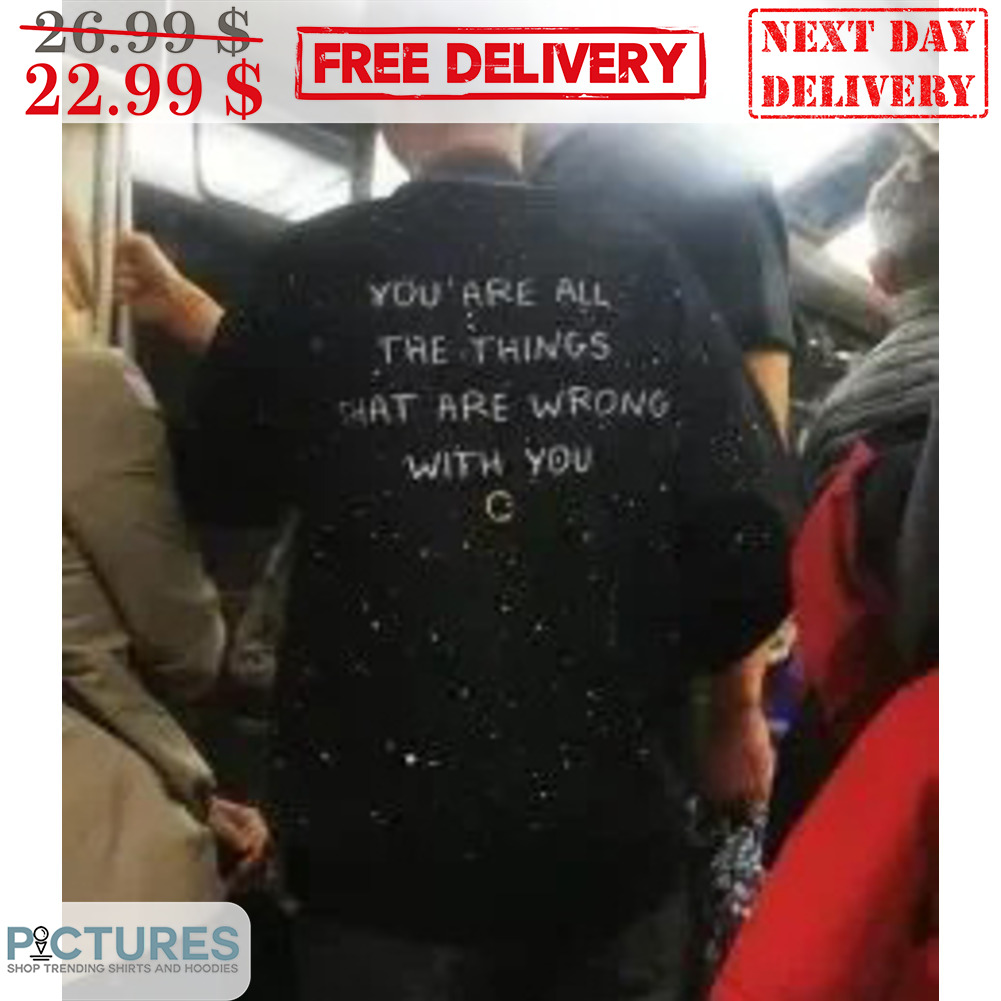 You Are All The Things That Are Wrong With You Shirt