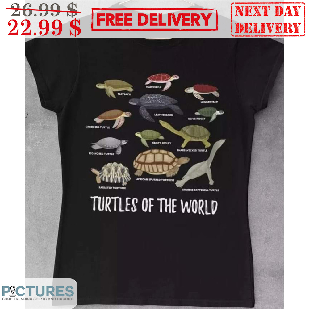 Sea turtles of shop the world sweater