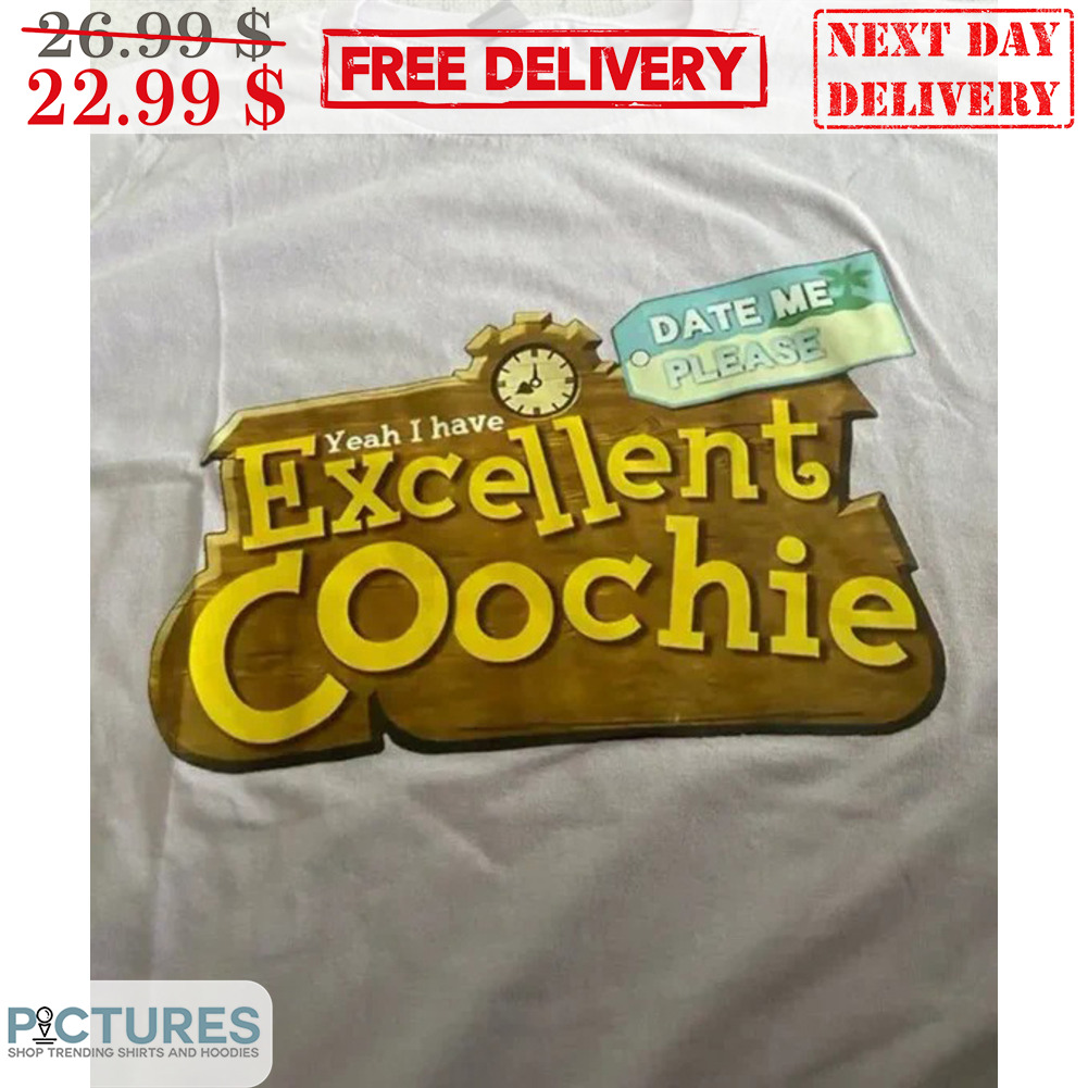 Date Me Please Yeah I Have Excellent Coochie Shirt