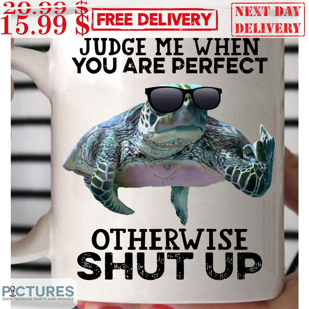 Turtle Judge Me When You Are Perfect Otherwise Shut Up Mug