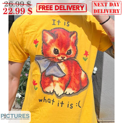 Cat It Is What It Is Shirt