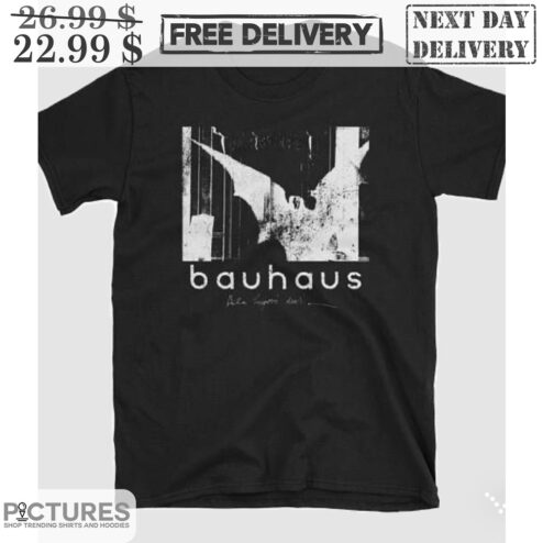 Bauhaus camiseta post punk goth love and rocket Vintage Shirt