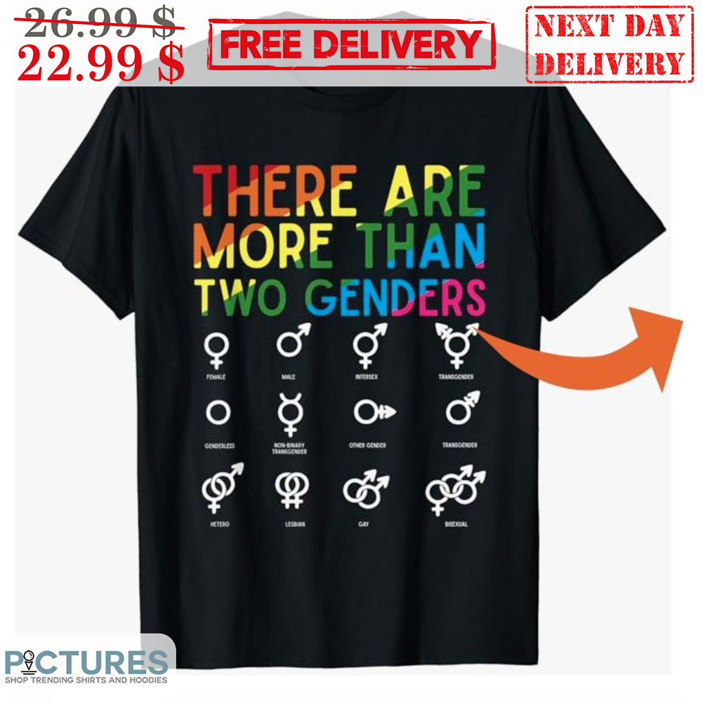 There Are More Than Two Genders LGBT Rainbow Shirt