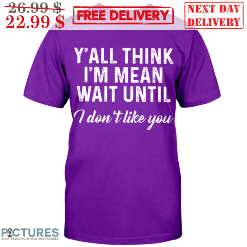 Y'all Think I'm Mean Wait Until I Don't Like You Vintage Shirt