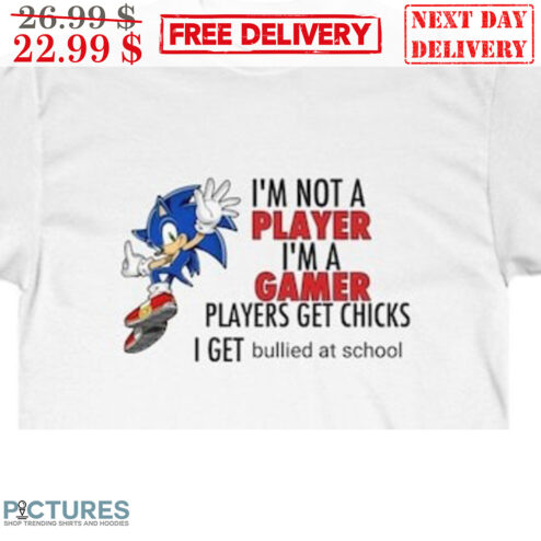 Sonic I'm Not A Player I'm A Gamer Players Get Chicks I Get Bullied At School Shirt