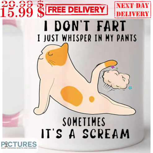 Cat I Don't Fart I Just Whisper In My Pants Sometimes It's A Scream Mug