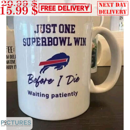 Buffalo Bills Just One Superbowl Win Before I Die Mug