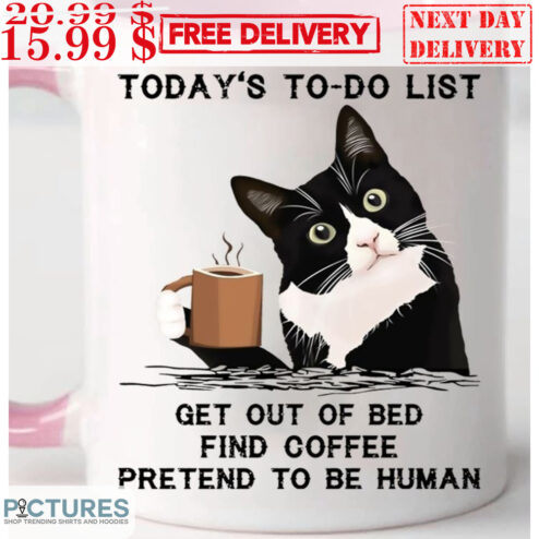 Cat Today's To-Do List Get Out Of Bed Find Coffee Pretend To Be Human Mug