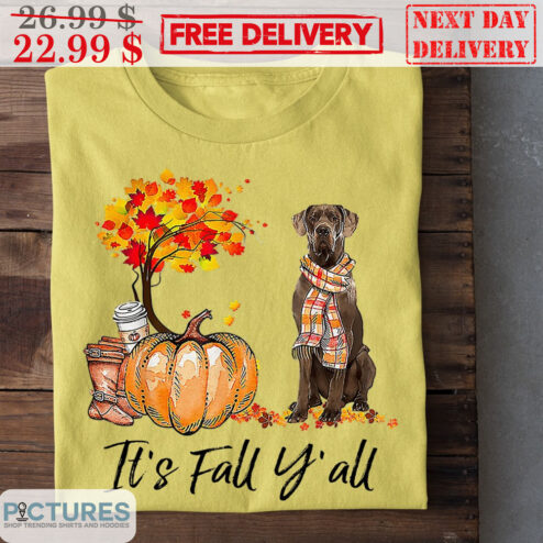It's Fall Y'all Thanksgiving Dog Shirt