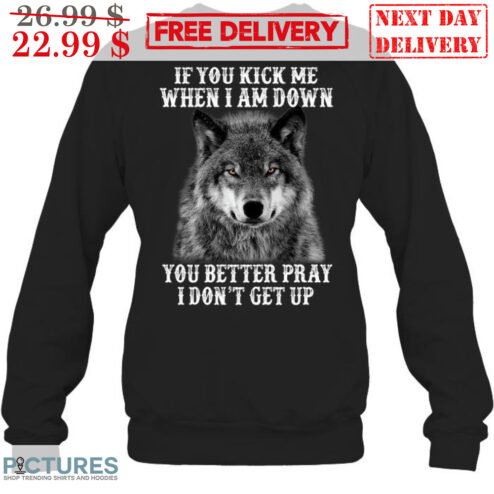 Wolf If You Kick Me When I Am Down You Better Pray I Don't Get Up Shirt
