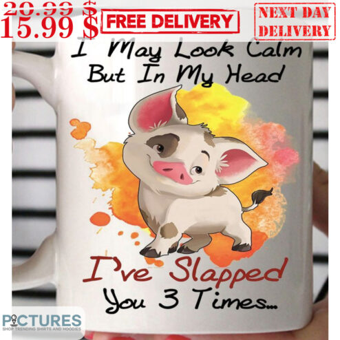 Pig I May Look Calm But In My Head I've Slapped You 3 Times Mug