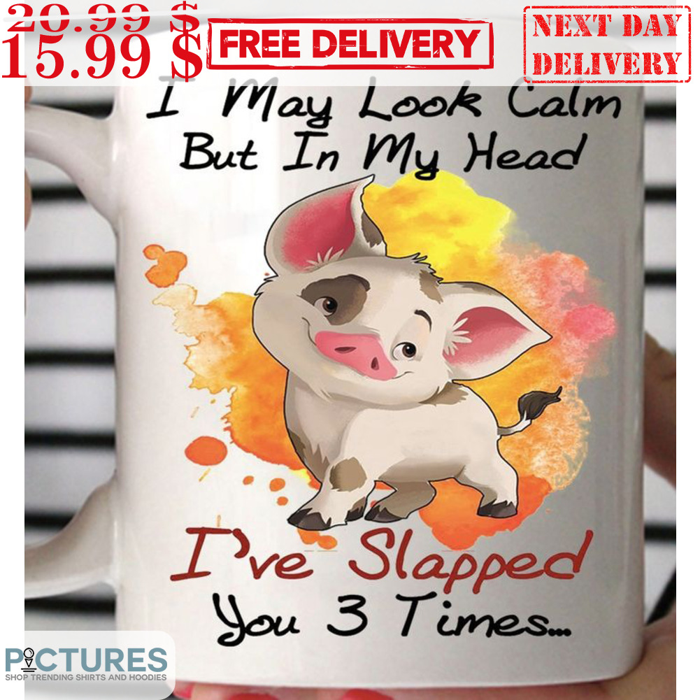 Pig I May Look Calm But In My Head I've Slapped You 3 Times Mug