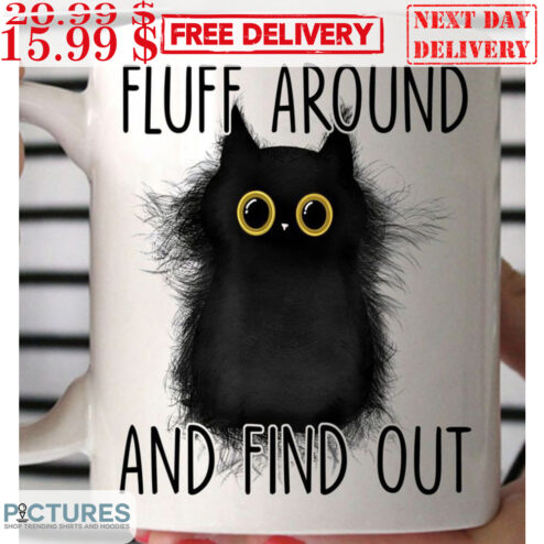 Cat Fluff Around And Find Out Mug