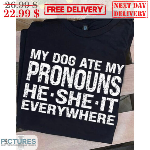 My Dog Ate My Pronouns He She It Everywhere Vintage Shirt