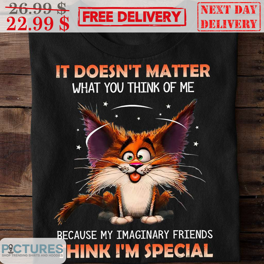Ugly Cat It Doesn't Matter What You Think Of Me Because My Imaginary Friends Think I'm Special Shirt
