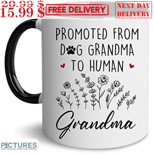 Promoted From Dog Grandma To Human Grandma Mug