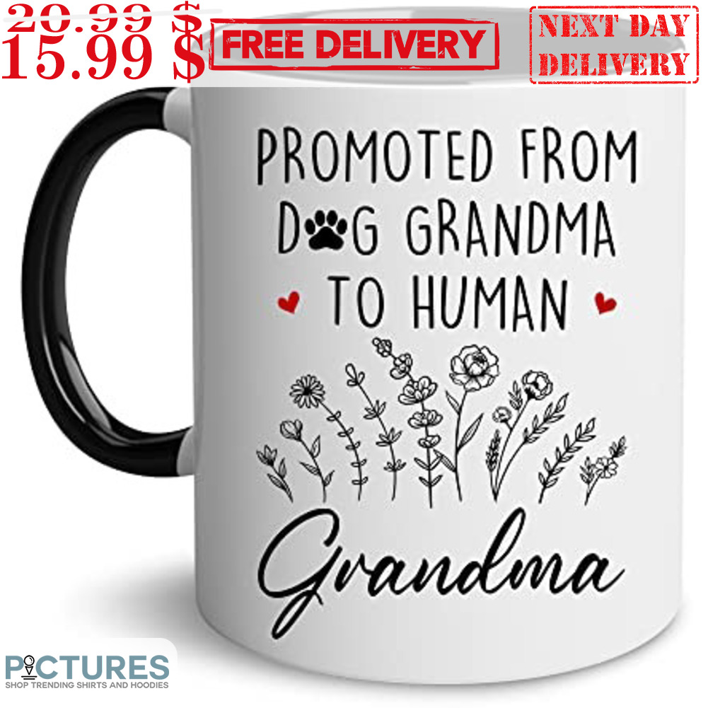 Promoted From Dog Grandma To Human Grandma Mug