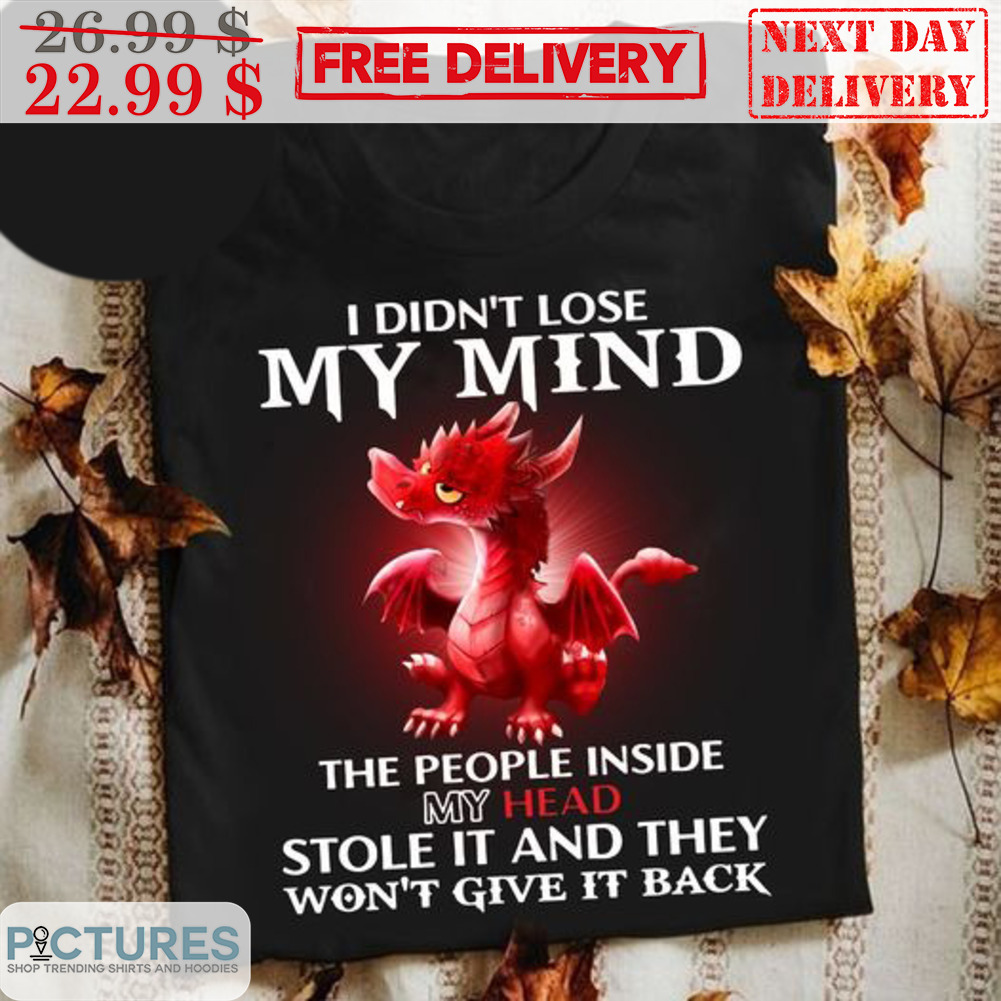Dragon I Didn't Lose My Mind The People Inside My Head Stole It And They Won't Give It Back Shirt