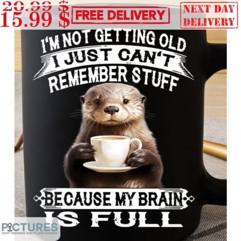 Otter I'm Not Getting Old I Just Can't Remember Stuff Because My Brain Is Full Mug