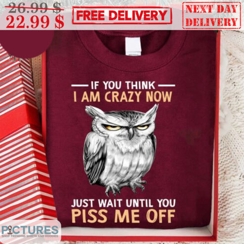Owl If You Think I Am Crazy Now Just Wait Until You Piss Me Off Shirt