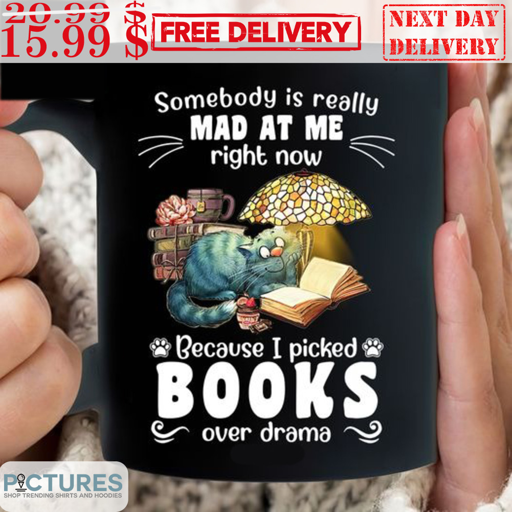Somebody Is Really Mad At Me Right Now Because I Picked Books Over Drama Mug