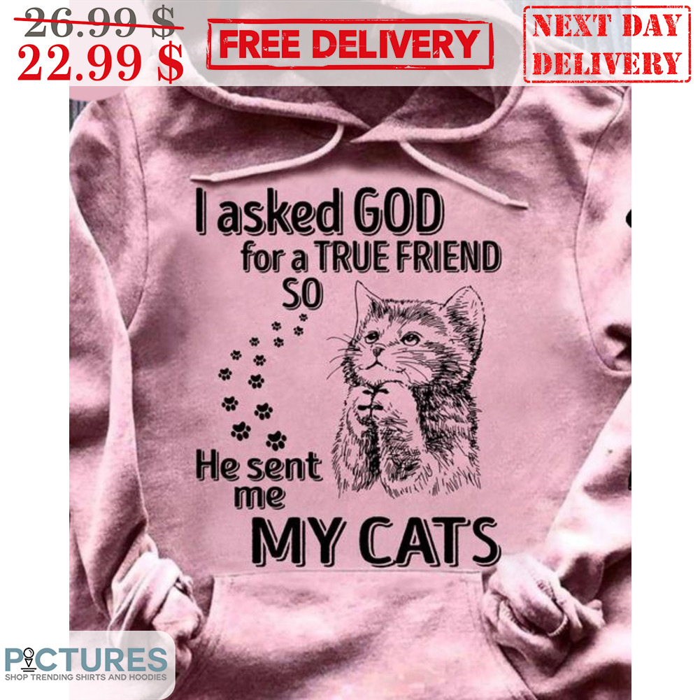 Pray I Asked God For A True Friend So He Sent Me My Cats Shirt