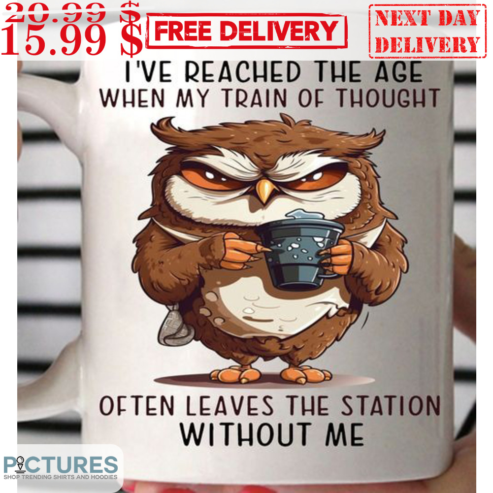 Owl I've Reached The Age When My Train Of Thought Often Leaves The Station Without Me Mug