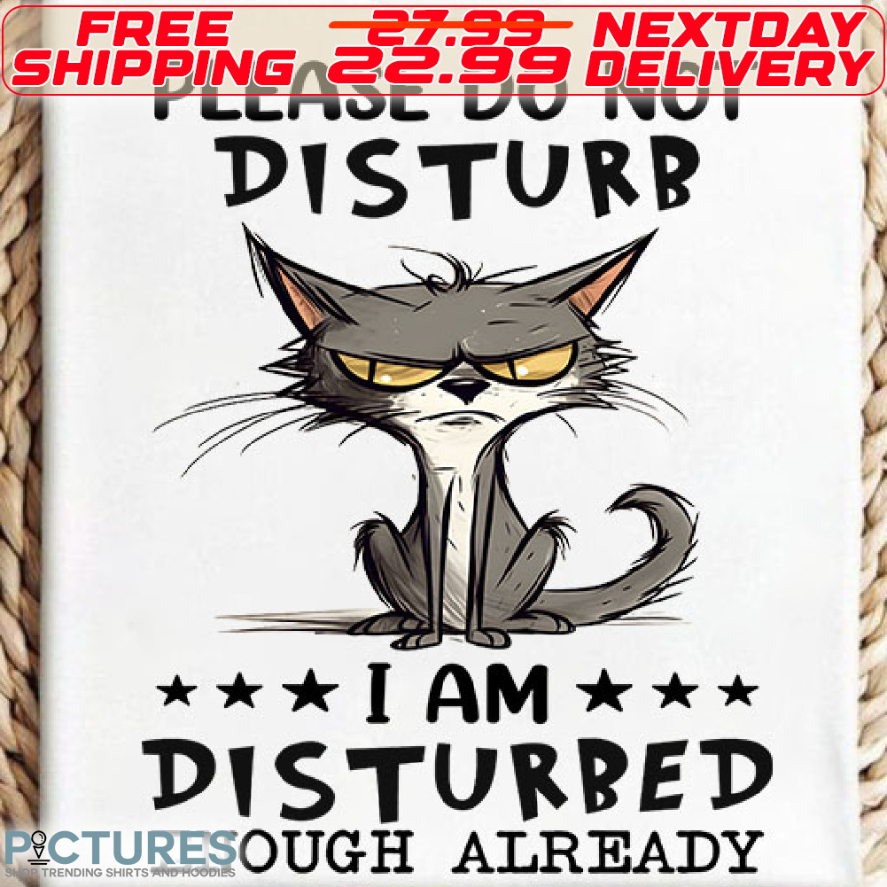 Gray Cat Please Do Not Disturb I Am Disturbed Enough Already Shirt