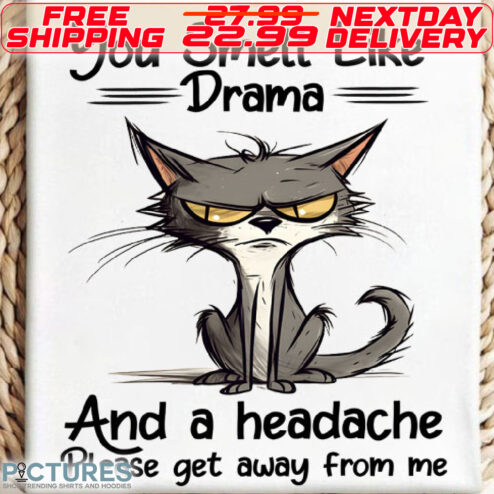 Gray Cat You Smell Like Drama And A Headache Please Get Away From Me Shirt