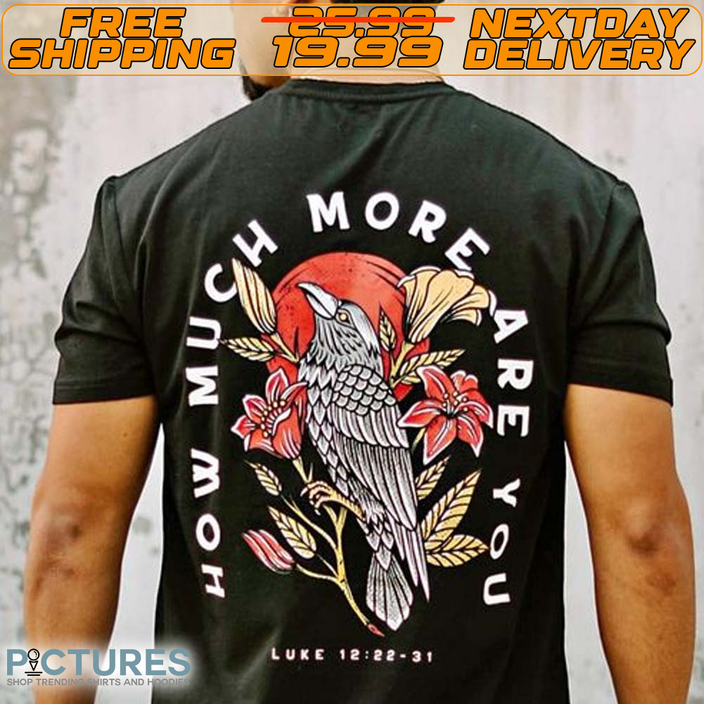 Raven How Much More Are You Shirt