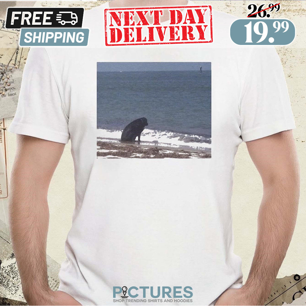 Sad Dog At The Beach Meme Funny Shirt