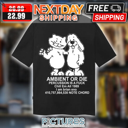 Ambient Or Die Percussion Is A Fuck Chill Em All 1989 I Am Brian Eno 410 757 864 530 Note Chord shirt