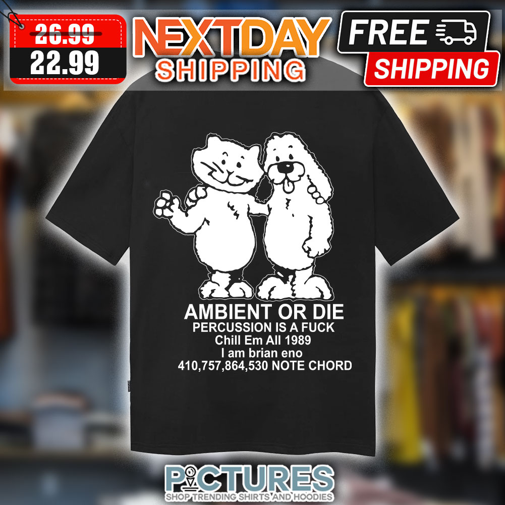 Ambient Or Die Percussion Is A Fuck Chill Em All 1989 I Am Brian Eno 410 757 864 530 Note Chord shirt