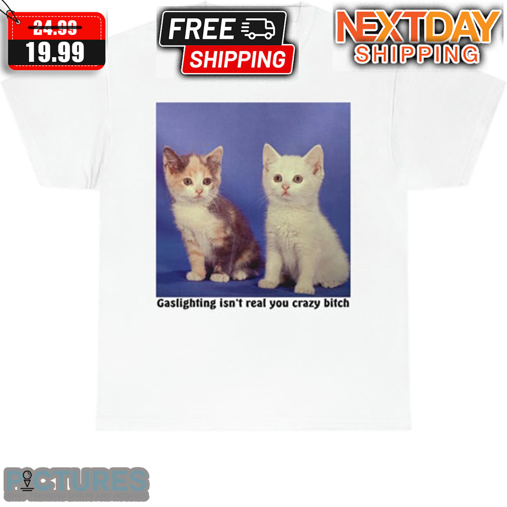Cats Gaslighting Isn't Real You Crazy Bitch Shirt
