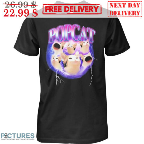 Cat Meme Popcat Shirt