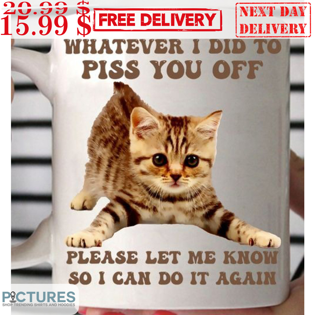 Kitty Whatever I Did To Piss You Off Please Let Me Know So I Can Do It Again Mug
