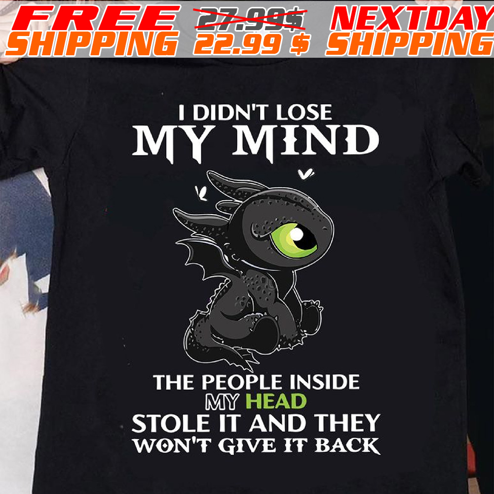 Dragon I Didn't Lose My Mind The People Inside My Head Stole It And They Won't Give It Back Shirt