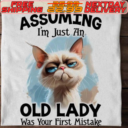 Cat Assuming I'm Just An Old Lady Was Your First Mistake Shirt
