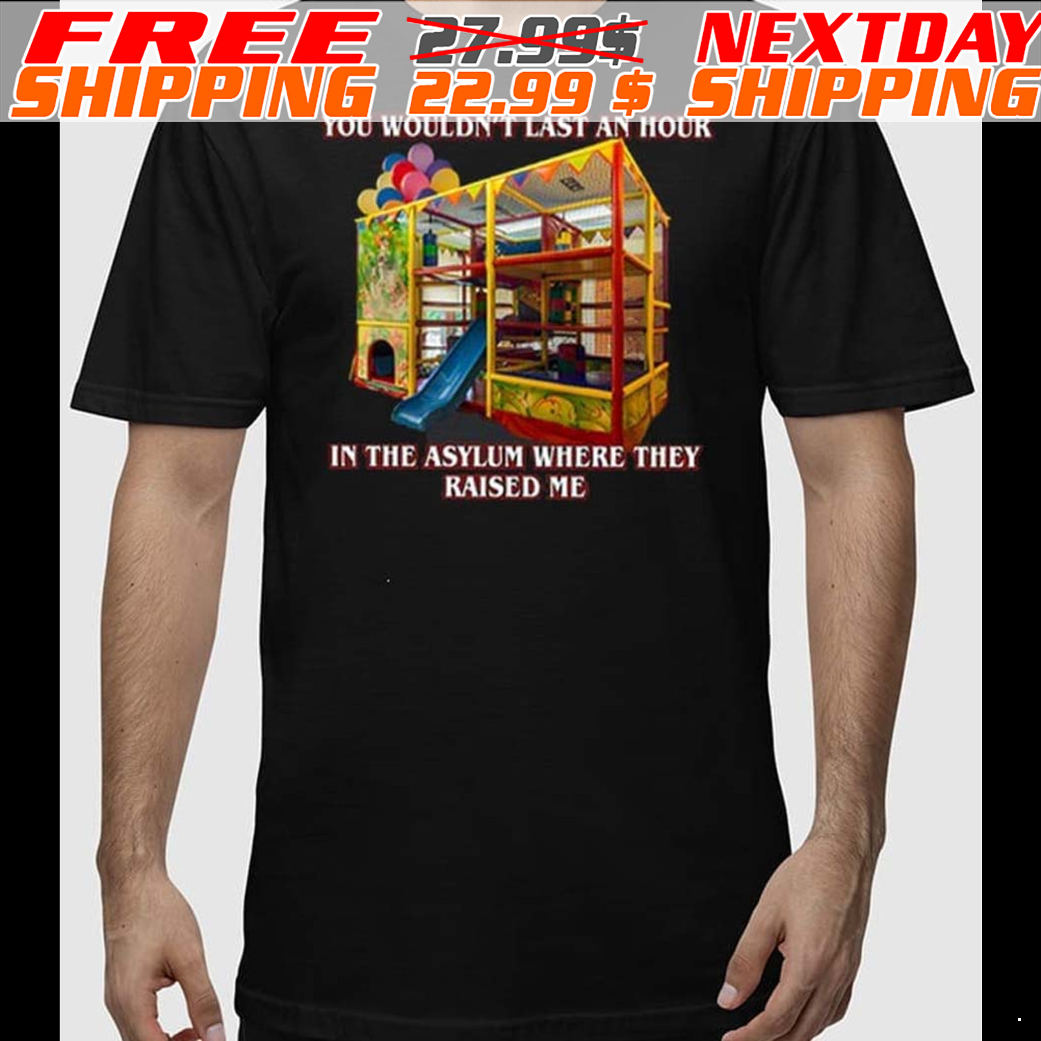 You Wouldn’t Last An Hour In The Asylum Where They Raised Me Shirt